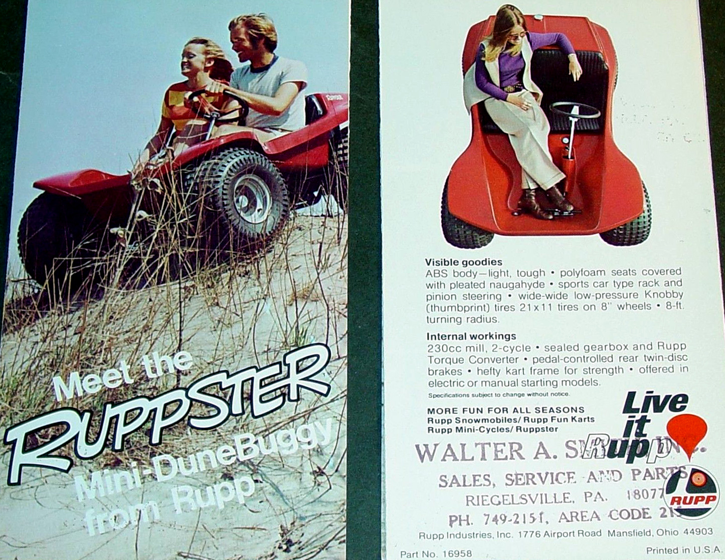 ruppster dune buggy